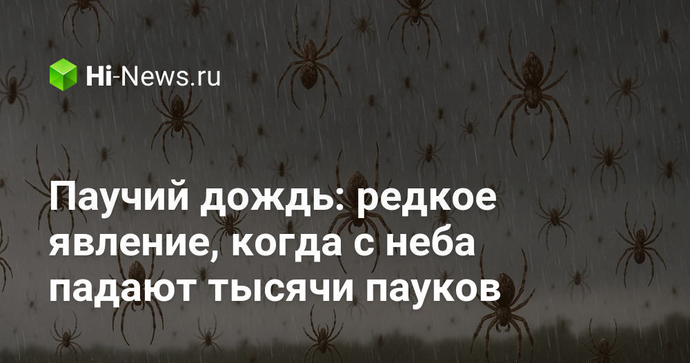 Паучий дождь: редкое явление, когда с неба падают тысячи пауков