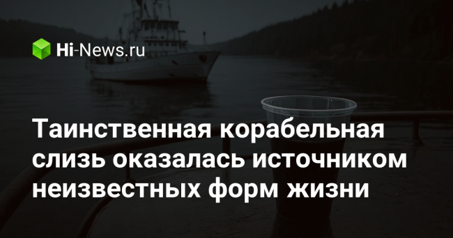 Таинственная корабельная слизь оказалась источником неизвестных форм жизни