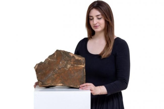 Самый большой марсианский метеорит на Земле ушёл с молотка за