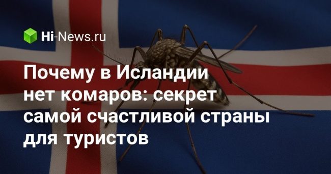Почему в Исландии нет комаров: секрет самой счастливой страны для