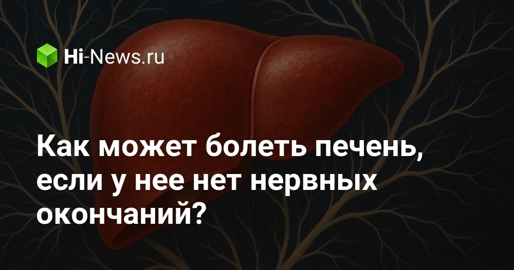 Как может болеть печень, если у нее нет нервных окончаний?