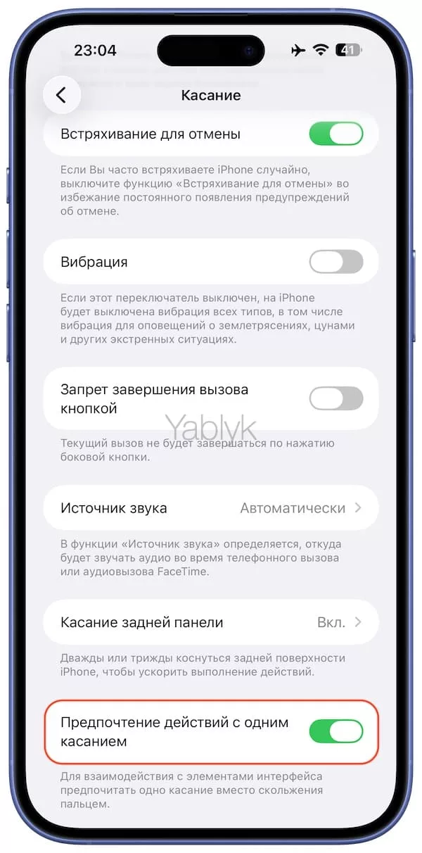 Настройки Универсального доступа в iOS