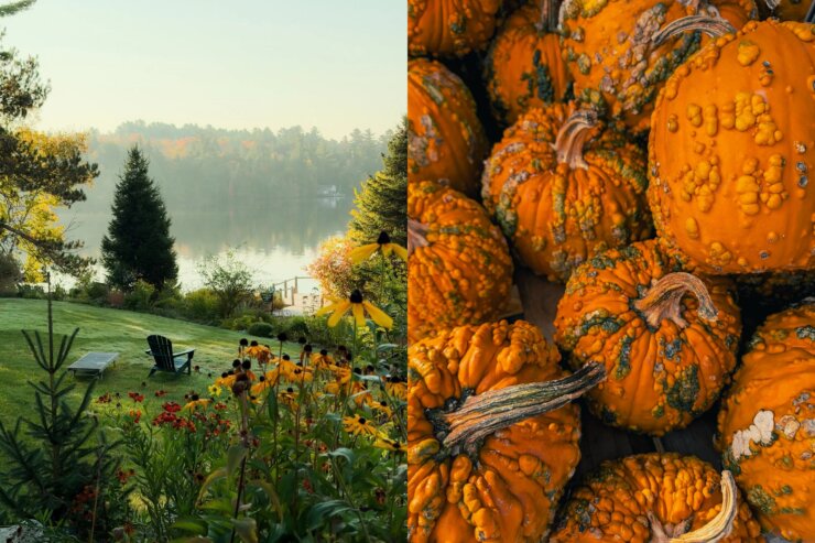 Как iPhone 17 Pro изменил мобильную фотографию. Примеры впечатляющих снимков на камеры флагмана. Кажется, что эти фотографии рисовал художник. Но нет — это все еще айфон. Изображение: 9to5mac.com. Фото.