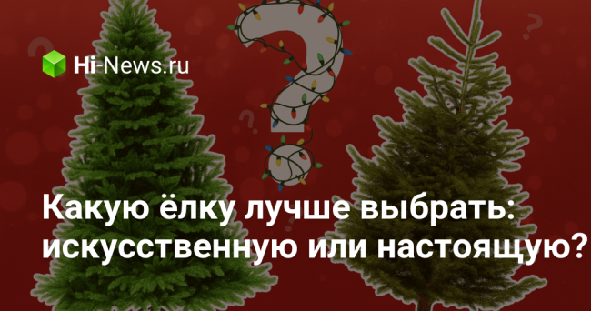 Какую ёлку лучше выбрать: искусственную или настоящую?
