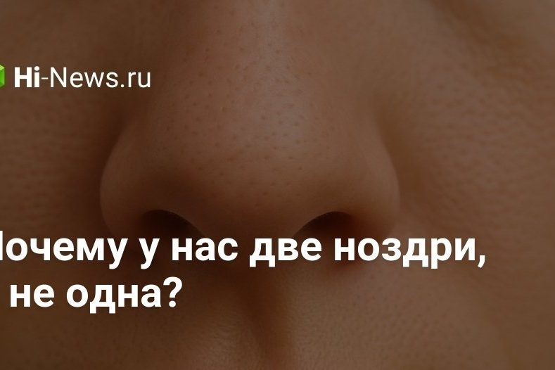 Почему у нас две ноздри, а не одна?