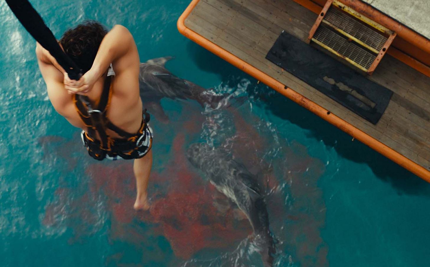 Хищные твари. Отличный ужас, в котором акулы — не самое главное. Фото: 2x2tv.ru. Фото.