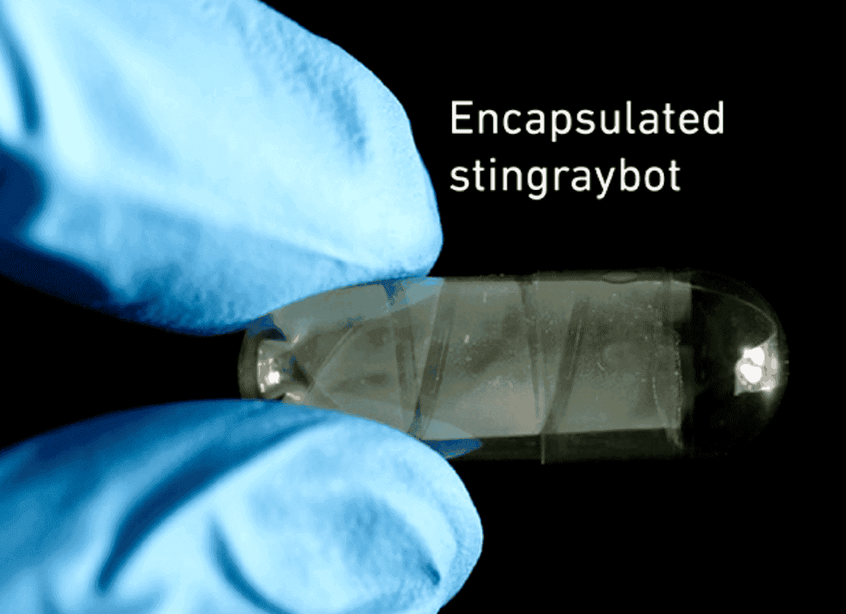 Доставка лекарств роботами. В растворимой капсуле робота легко поместить внутрь человека через желудок. Изображение: ethz.ch. Фото.