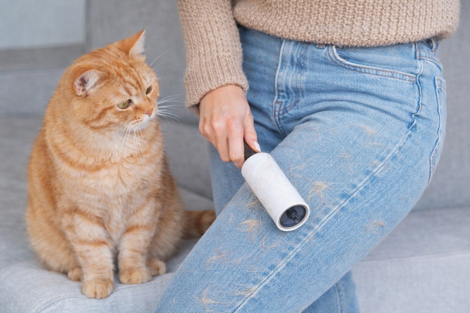 Как правильно убираться, чтобы дома всегда было чисто. Особенно часто нужно убираться в периоды линьки домашних животных. Фото.