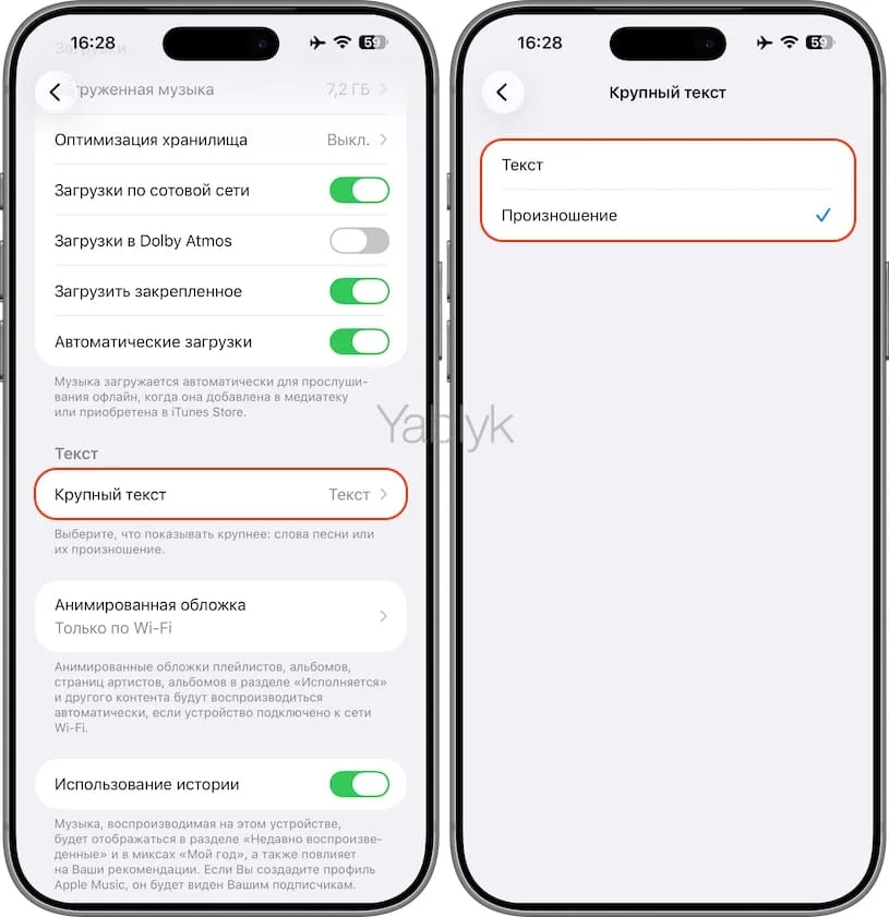 Как перевести текст песни и увидеть произношение в Apple Music