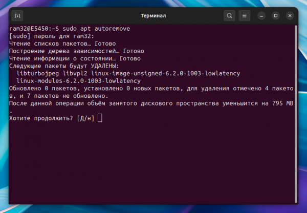 как очистить диск с помощью apt autoremove