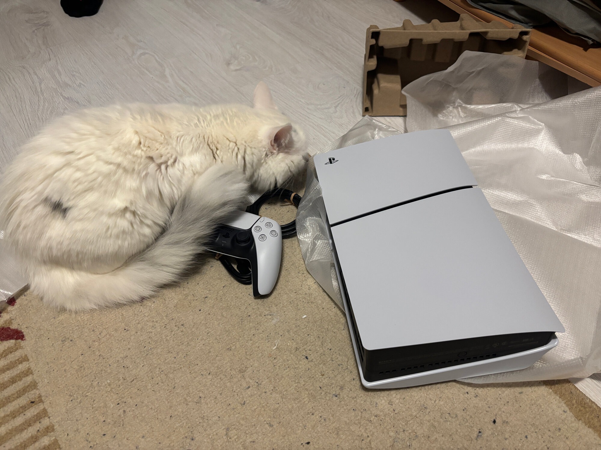 Лучшая игровая консоль. Кот не продается, а вот консоль можно купить. Фото.