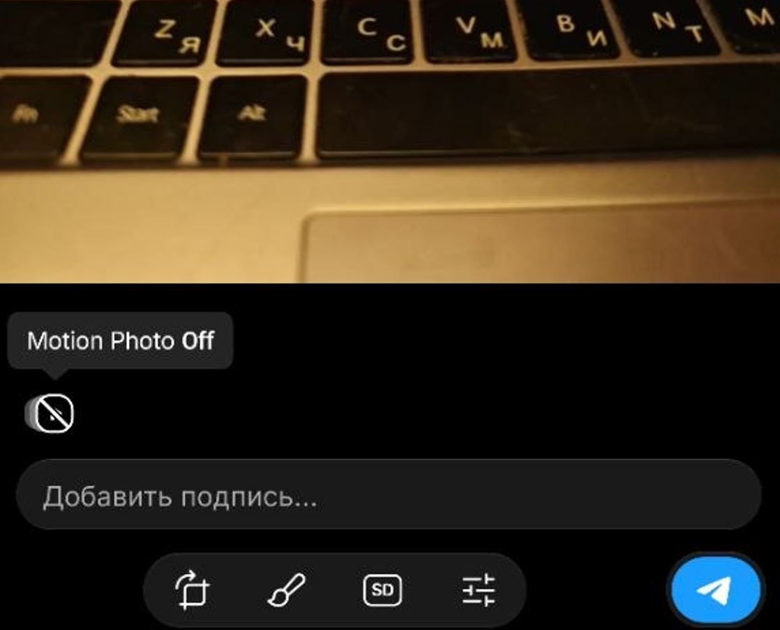 Motion Photos в Telegram — как отправить живое фото. Живое фото теперь доступно и в Телеграме. Фото.