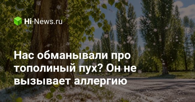 Нас обманывали про тополиный пух? Он не вызывает аллергию