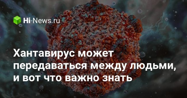 Хантавирус может передаваться между людьми, и вот что важно знать
