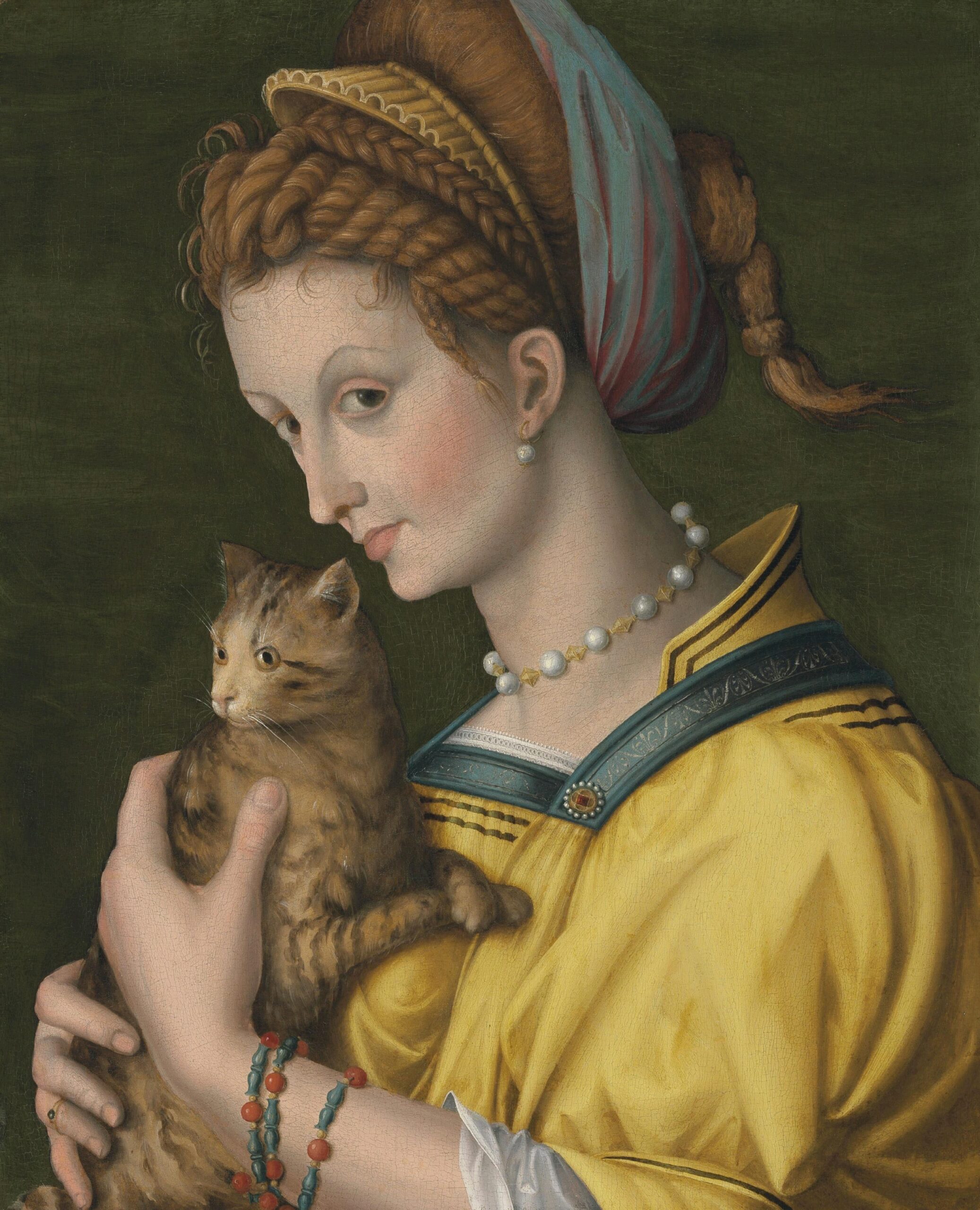 Портрет молодой девушки с кошкой на руках. Франческо Баккиакка, ок. 1525-1530 год. Фото.